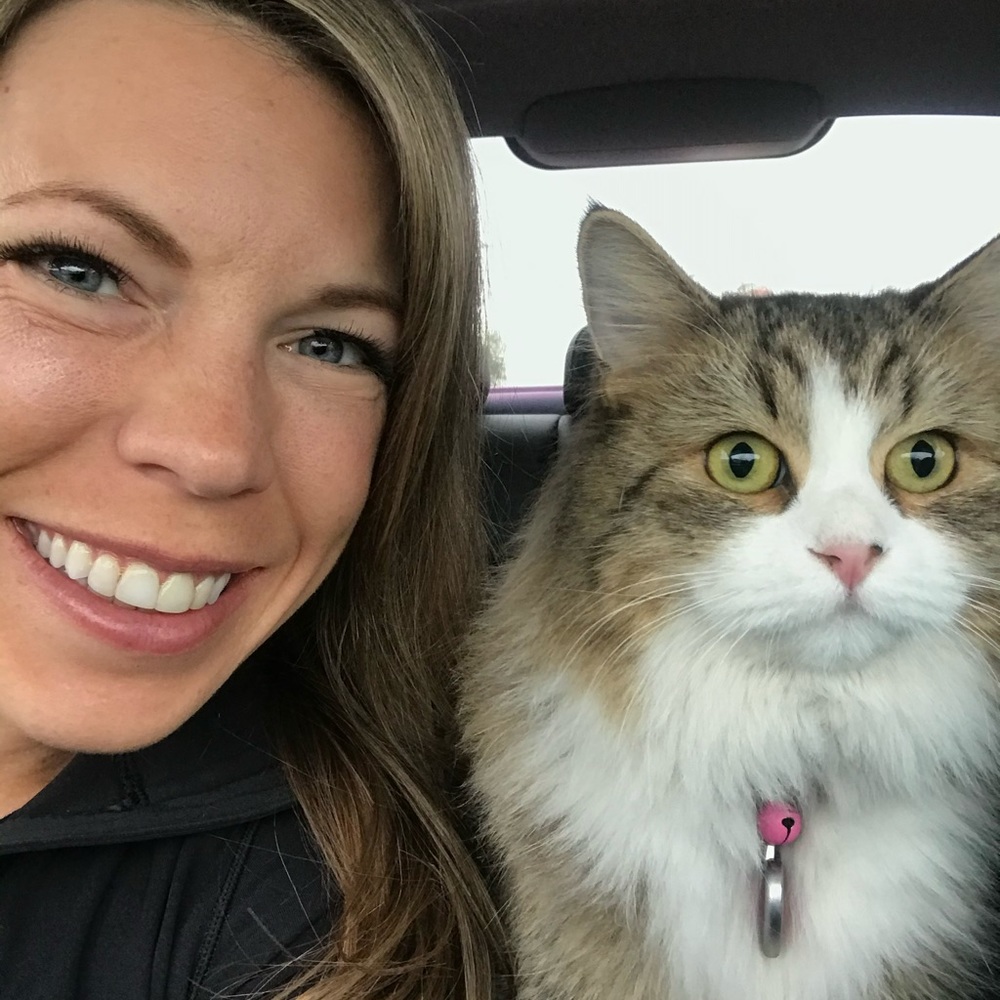 Cat Life